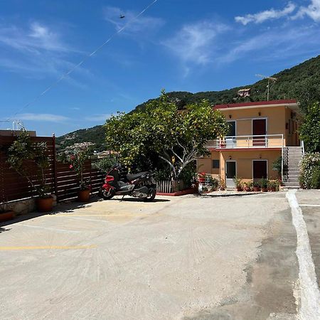 Vasiliki See View Apartments Barbati Zewnętrze zdjęcie