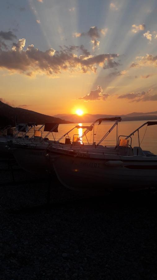 Vasiliki See View Apartments Barbati Zewnętrze zdjęcie