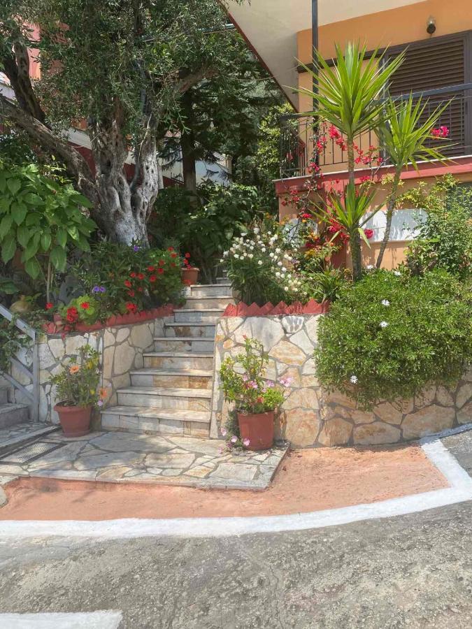 Vasiliki See View Apartments Barbati Zewnętrze zdjęcie
