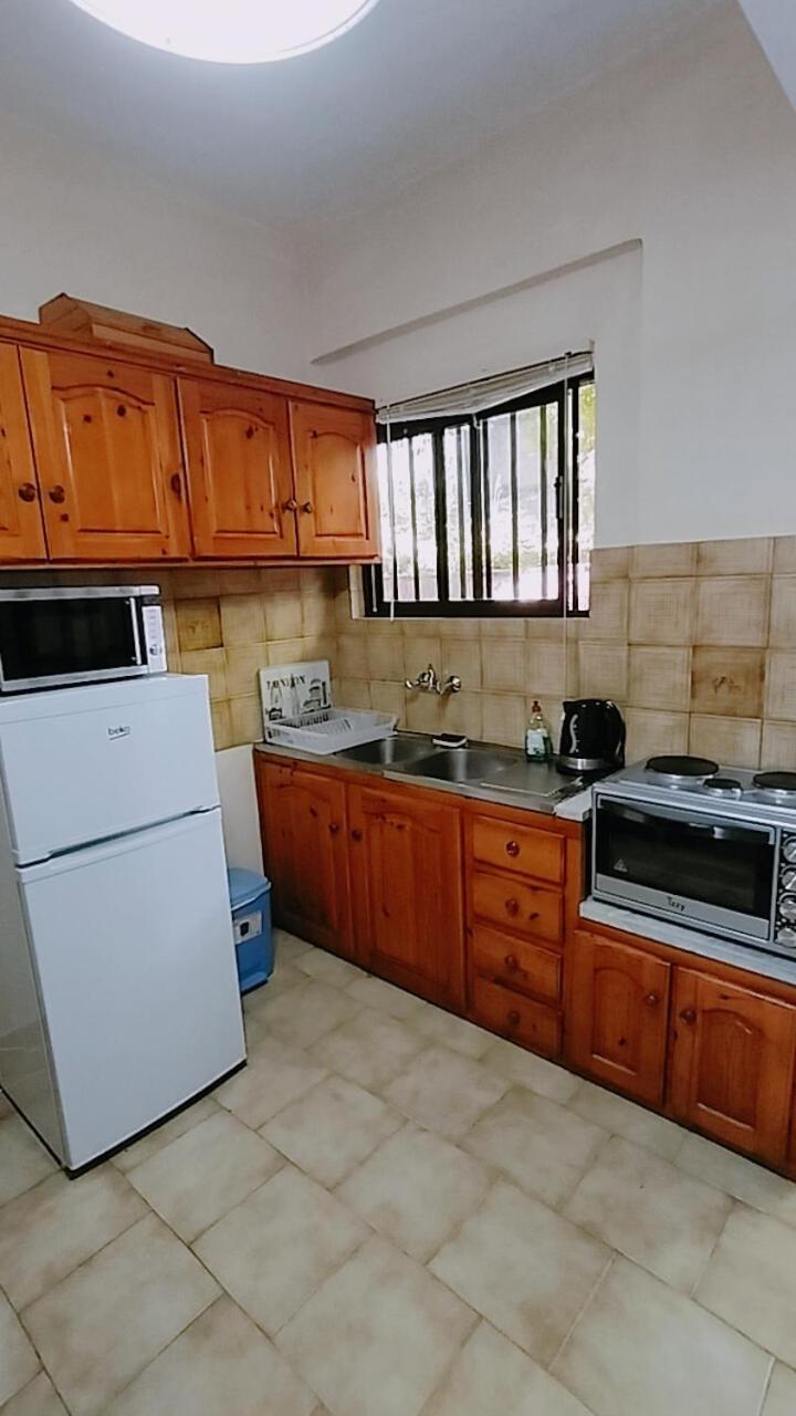 Vasiliki See View Apartments Barbati Zewnętrze zdjęcie